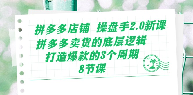 拼多多店铺操盘手2.0新课，拼多多卖货的底层逻辑，打造爆款的3个周期（8节）-AI网创