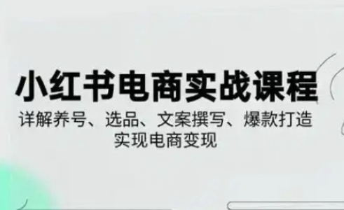 小红书从0-1实操课(2023-2025)，详解养号、选品、文案撰写、爆款打造实现电商变现-渡鸦网创