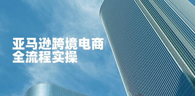 （14252期）亚马逊跨境电商全流程实操，教你从零开始，掌握店铺运营与广告技巧-渡鸦网创
