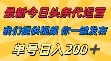 最新今日头条代运营，我们提供视频，你一键发布，单号日入200+【揭秘】-渡鸦网创