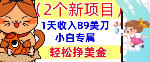 2个新项目，轻松挣美金， 1天收入89美刀，小白专属，干货分享-渡鸦网创