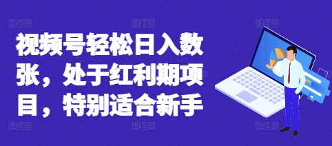 视频号轻松日入数张，处于红利期项目，特别适合新手-渡鸦网创