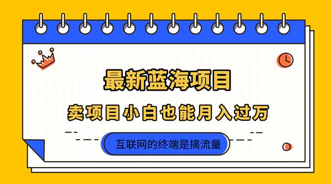 （14289期）2025年最新蓝海项目，卖项目小白也能月入过万-渡鸦网创