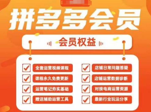 2025拼多多运营实战课，40节全流程教学，覆盖拼多多运营全链路-渡鸦网创