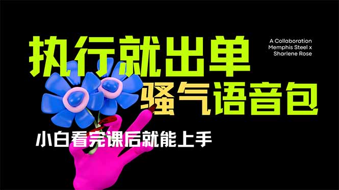 （14170期）爆火全网的开车导航骚气语音包,只要执行就出单，小白看完课程就能实操...-渡鸦网创