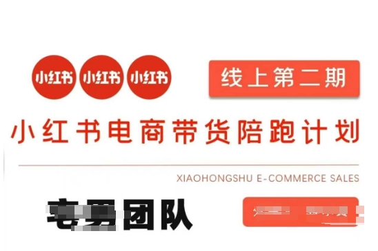 小红书电商带货课2期，月利润20个的小红书电商的有货源，无货源，虚拟产品，付费投流等整套玩法-渡鸦网创